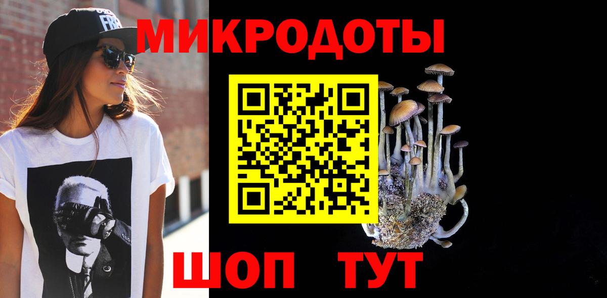 Псилоцибиновые грибы Cubensis Биробиджан