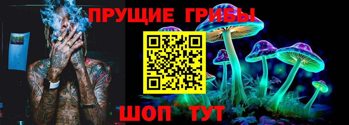 Псилоцибиновые грибы мицелий  Вход с VPN  Биробиджан 